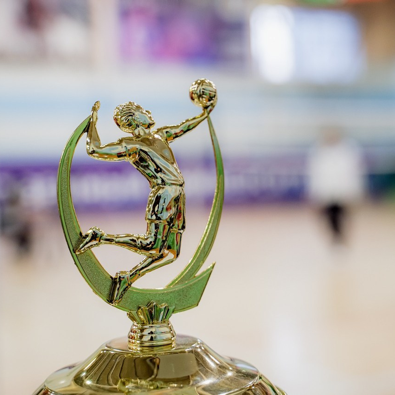 Отзывы. Сергей Кошкин Фотограф