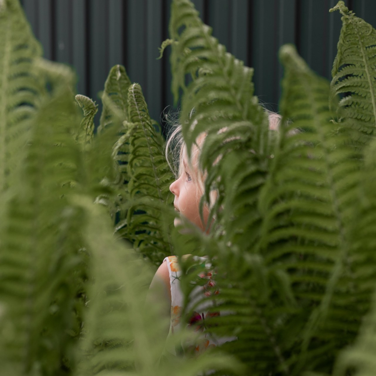 Отзывы. Свадебный и семейный фотограф в Колпино и СПб Юлия Папанова