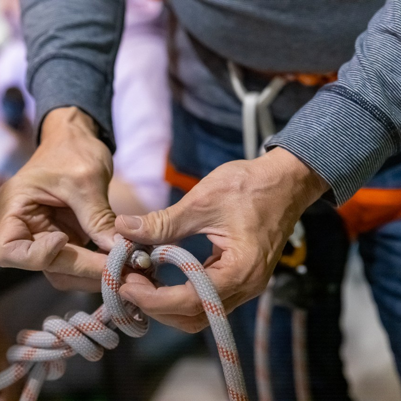 Отзывы. Lora8299.wfolio.pro