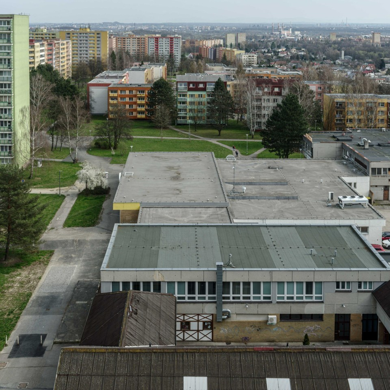 Feedback. Photographer, Documentary and Art