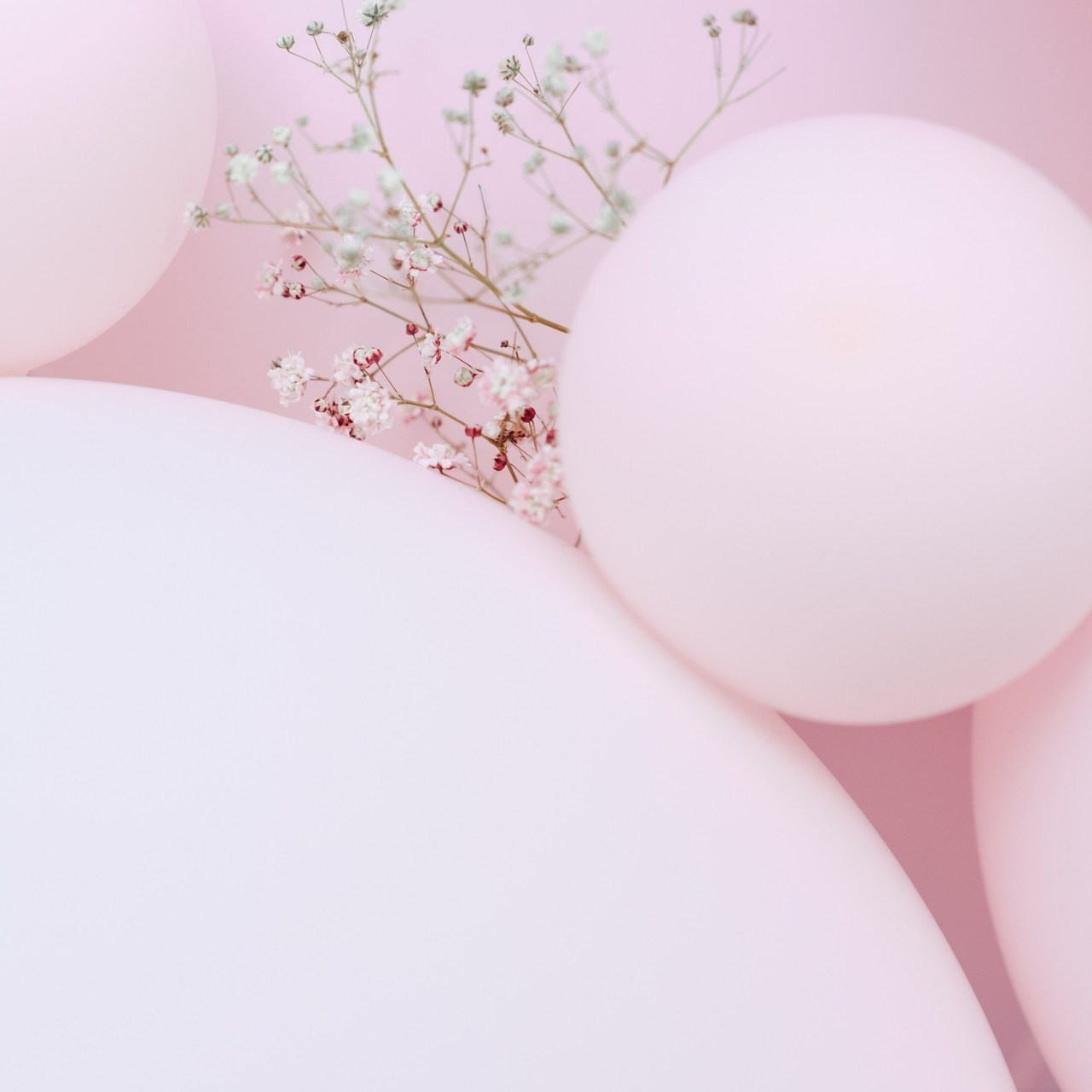 Отзывы. Фуд и предметный фотограф Виталий Морозов г. Москва