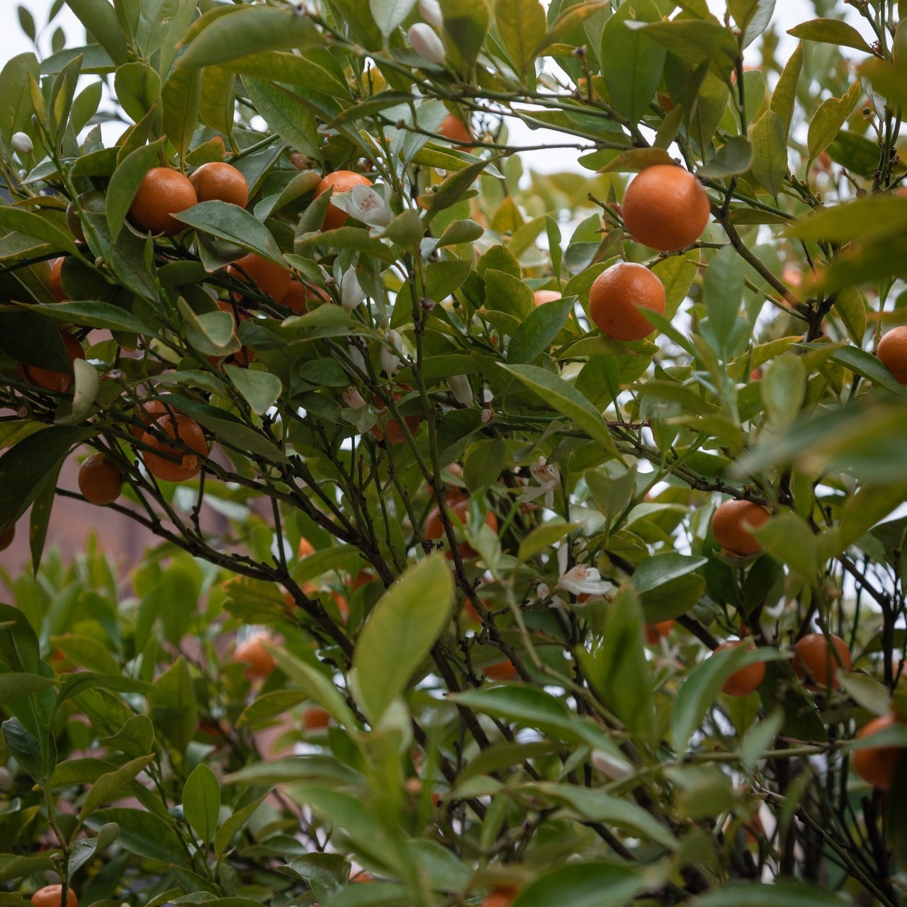 Отзывы. Главная