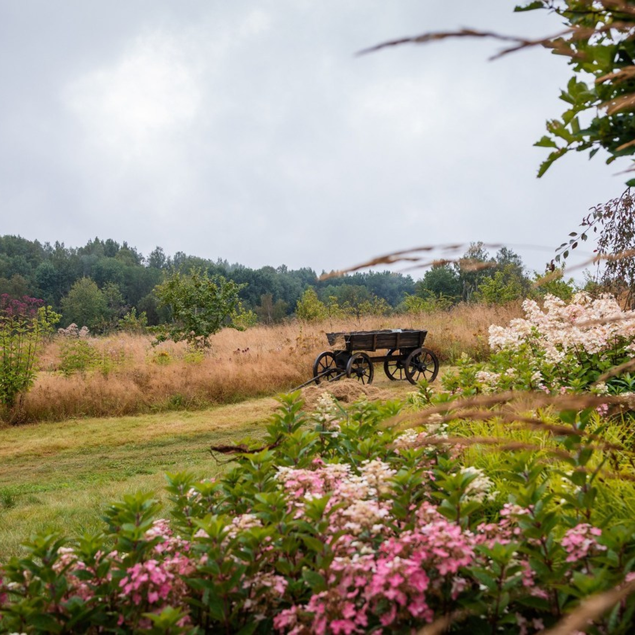 Отзывы. Главная