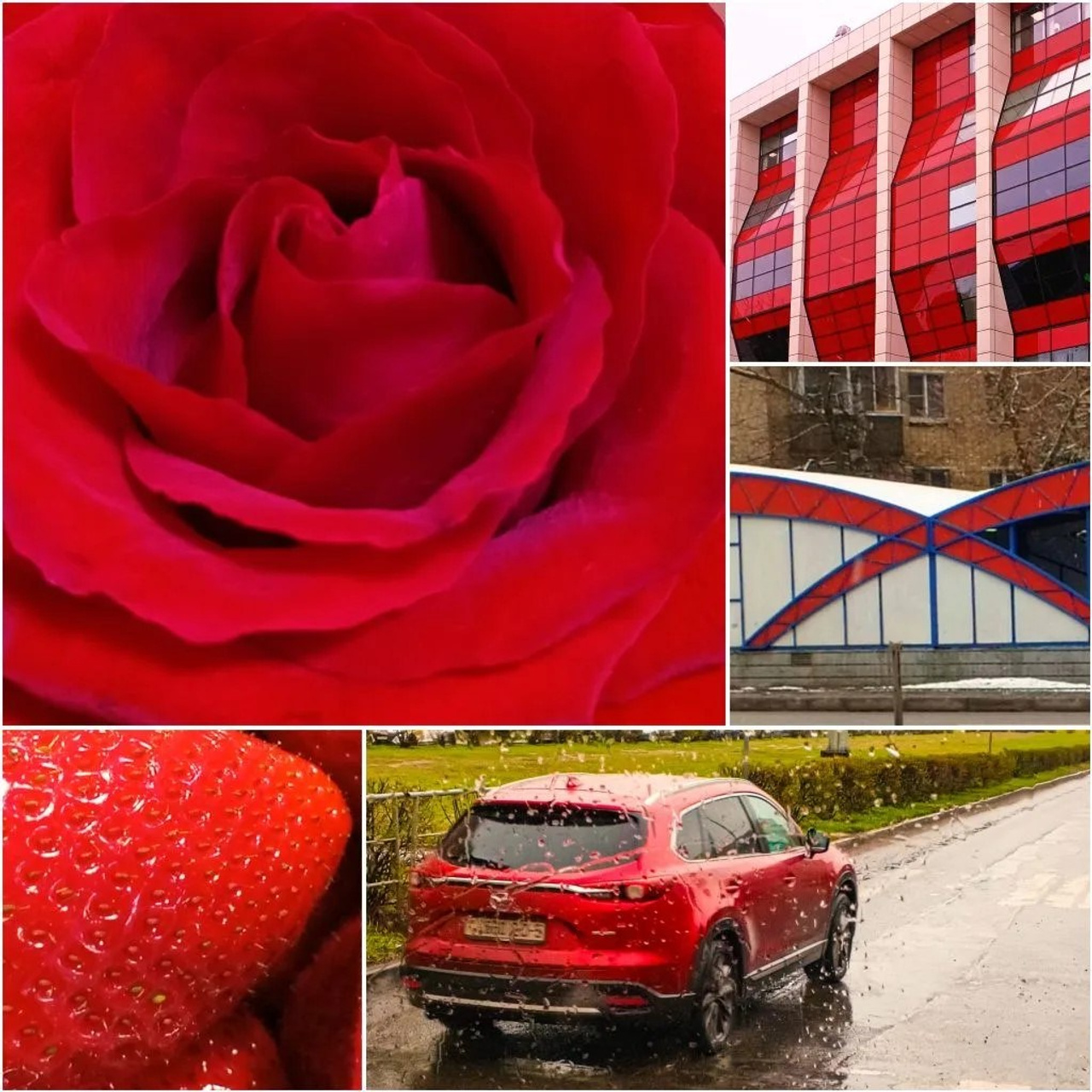 МАРИНА М