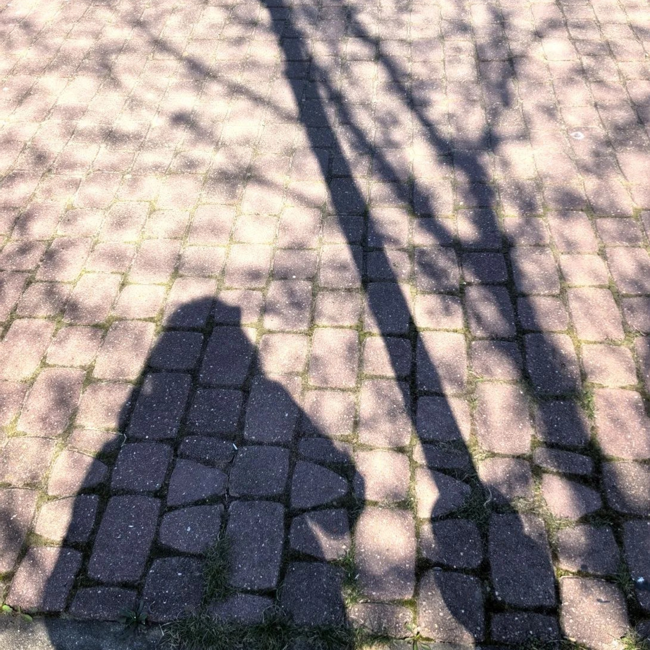 АНЯ