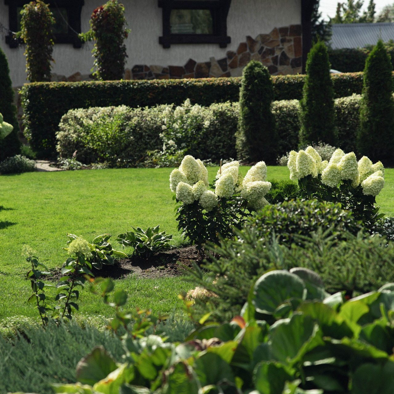 Отзывы. Свадебный и семейный фотограф Рассказова Виктория