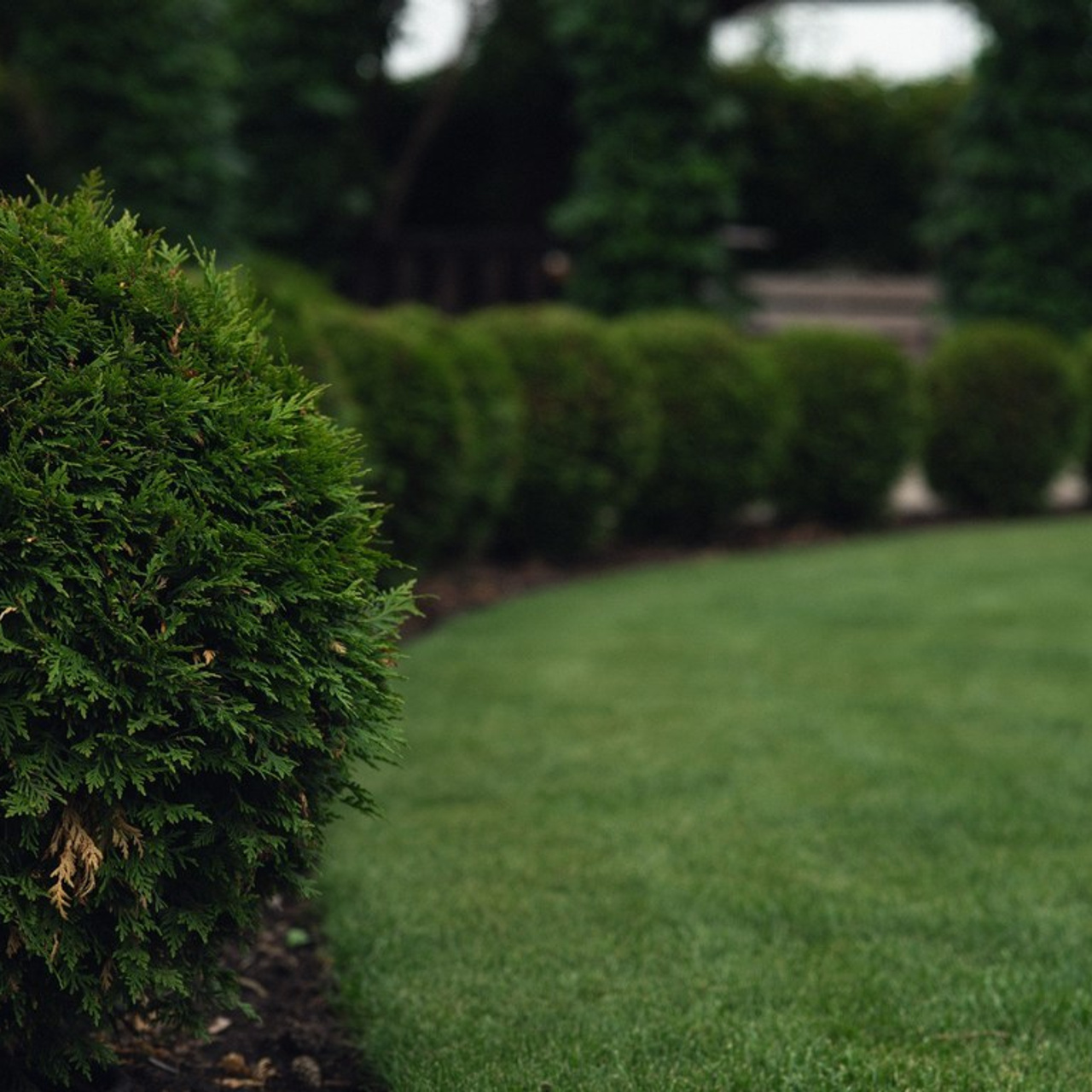 Отзывы. Свадебный и семейный фотограф Рассказова Виктория