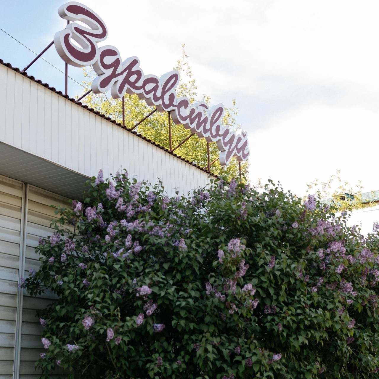 Отзывы. Свадебный и семейный фотограф Рассказова Виктория