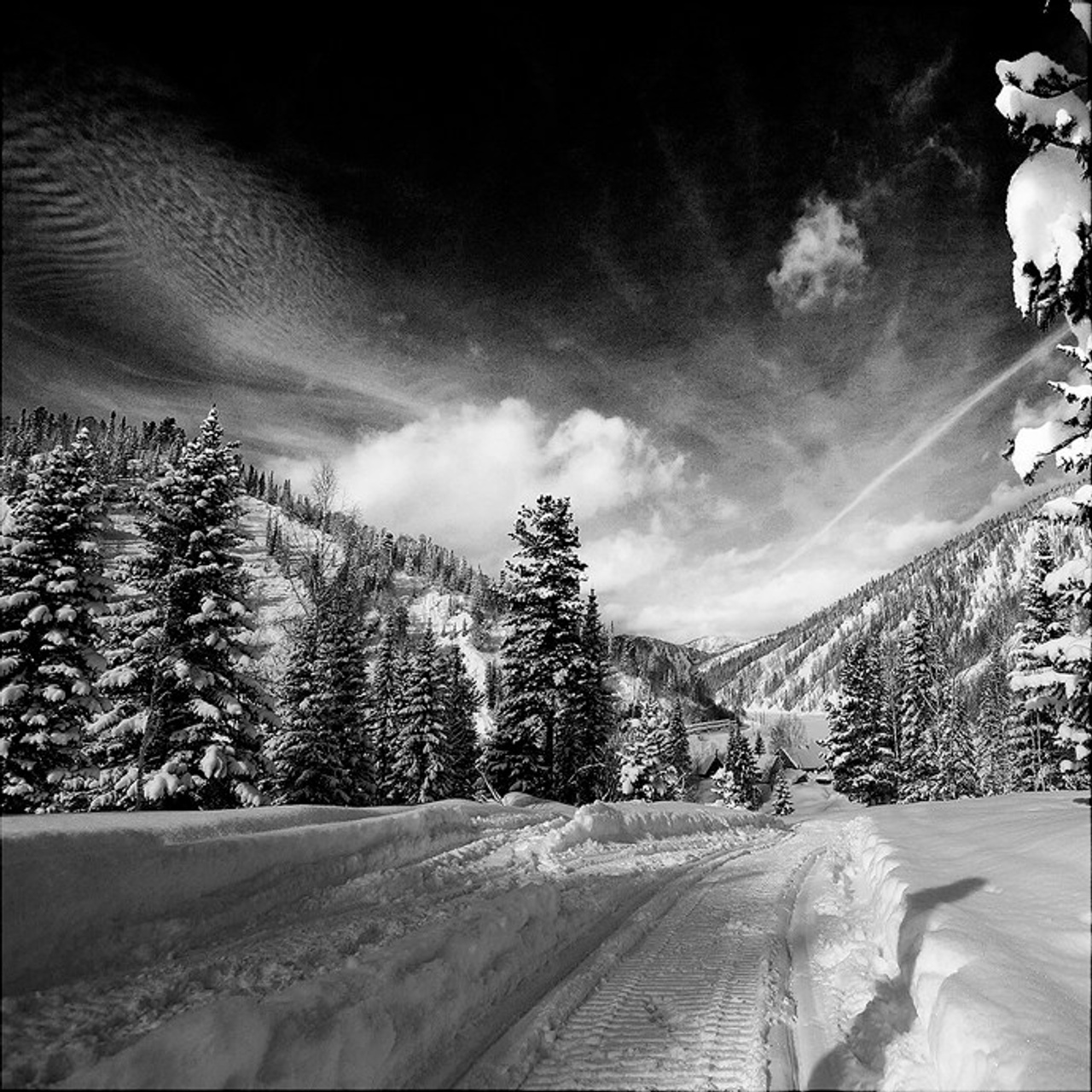 Белые. 2006-2010. Евгений Курсков