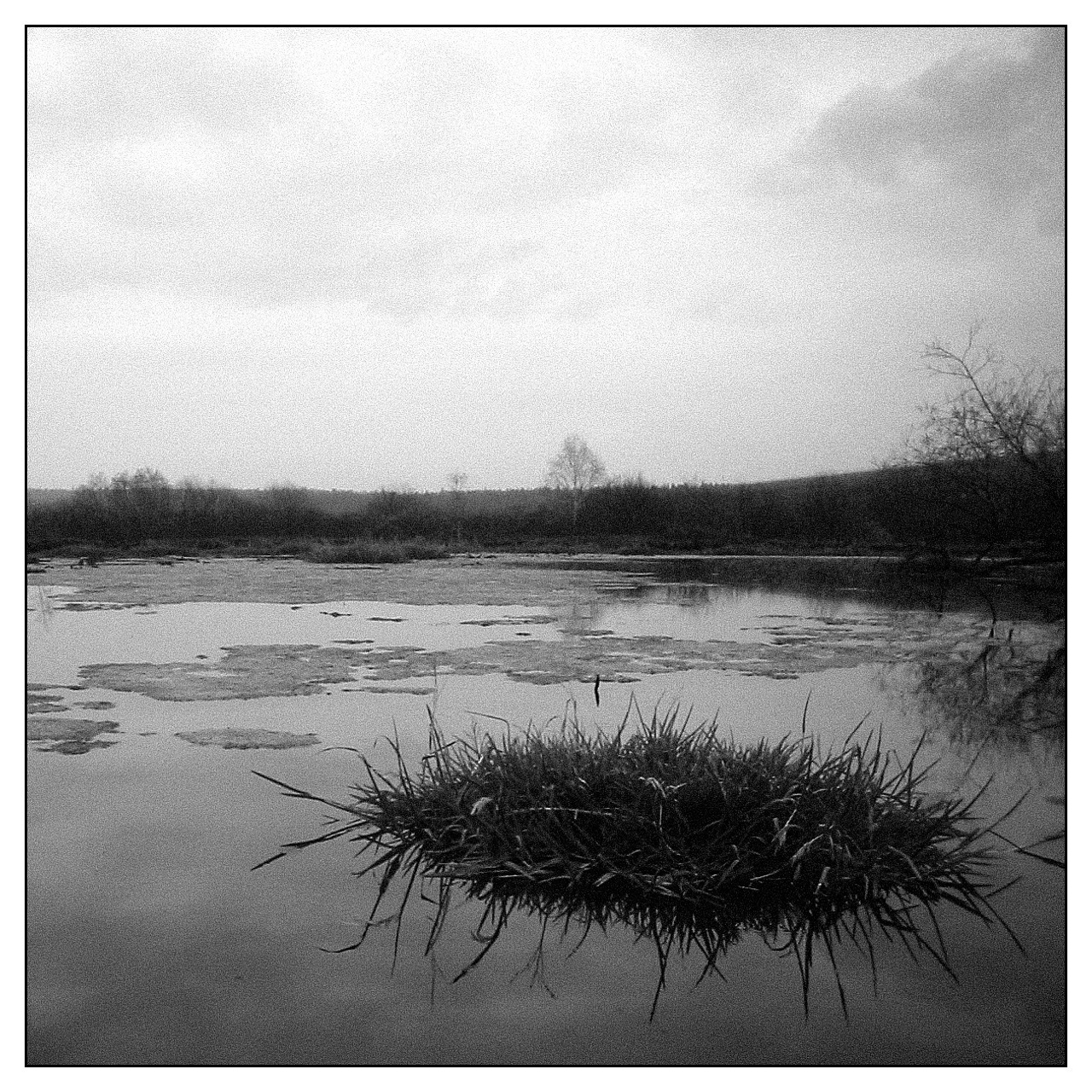 Ранние работы. 2003-2004. Евгений Курсков