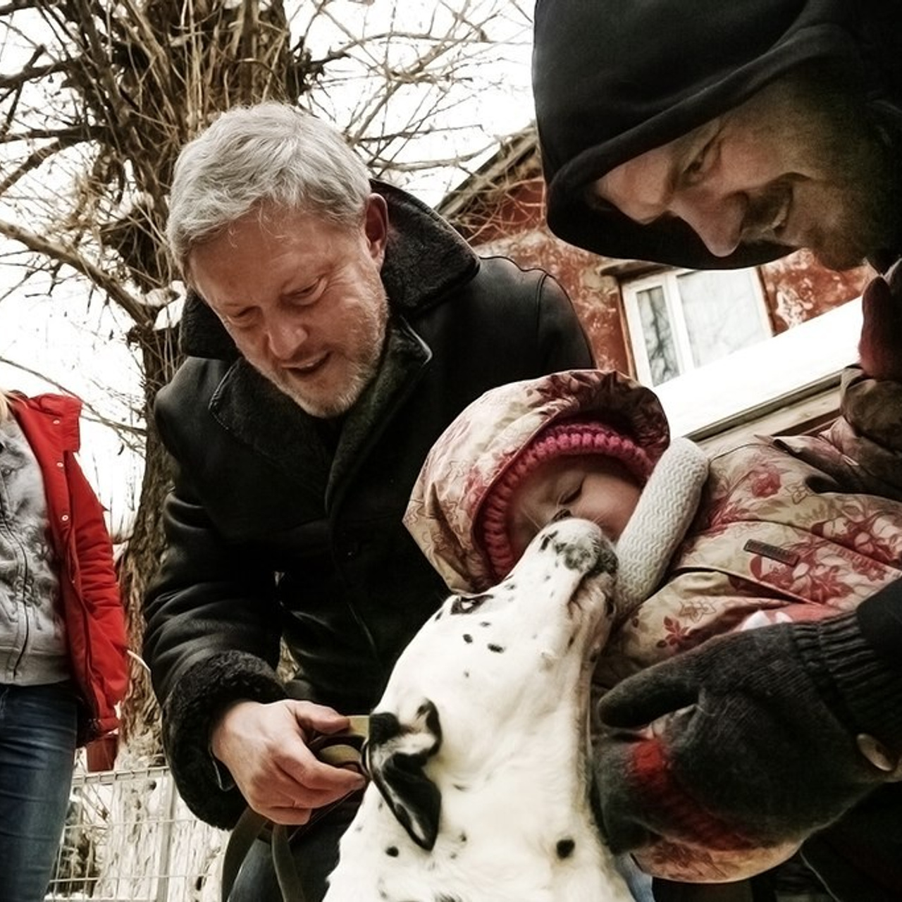 штаб, выборы, политика, экономика, явлинский, оппозиция, яблоко