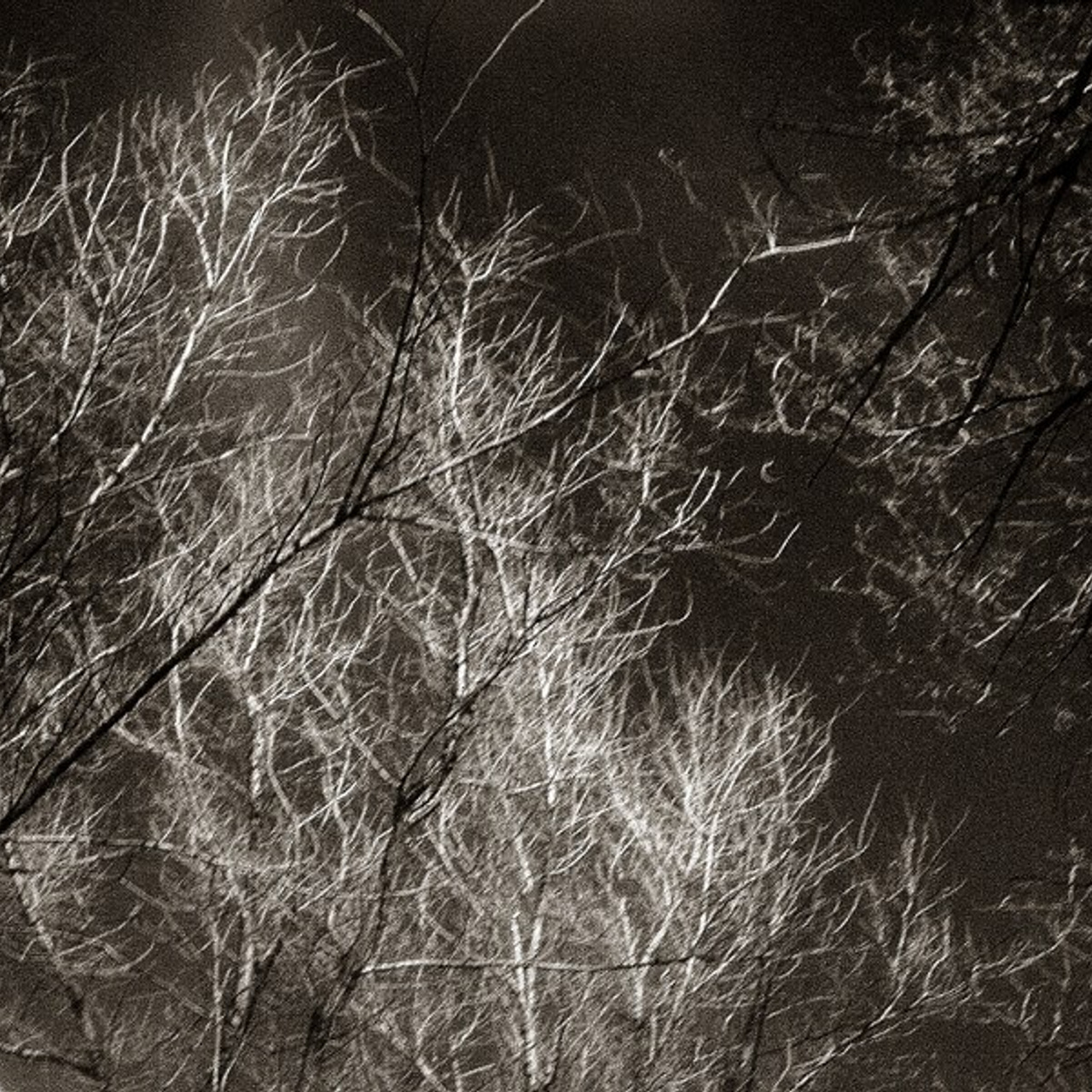 Город Шахтеров. 2003. Евгений Курсков