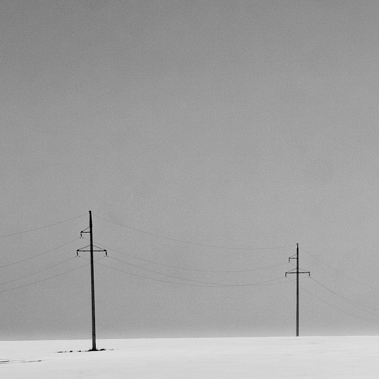 Белые. 2006-2010. Евгений Курсков