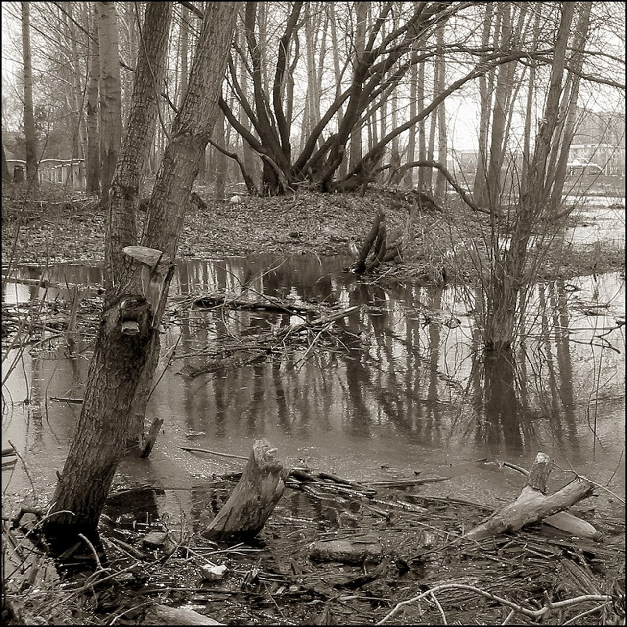 Город Шахтеров. 2003. Евгений Курсков