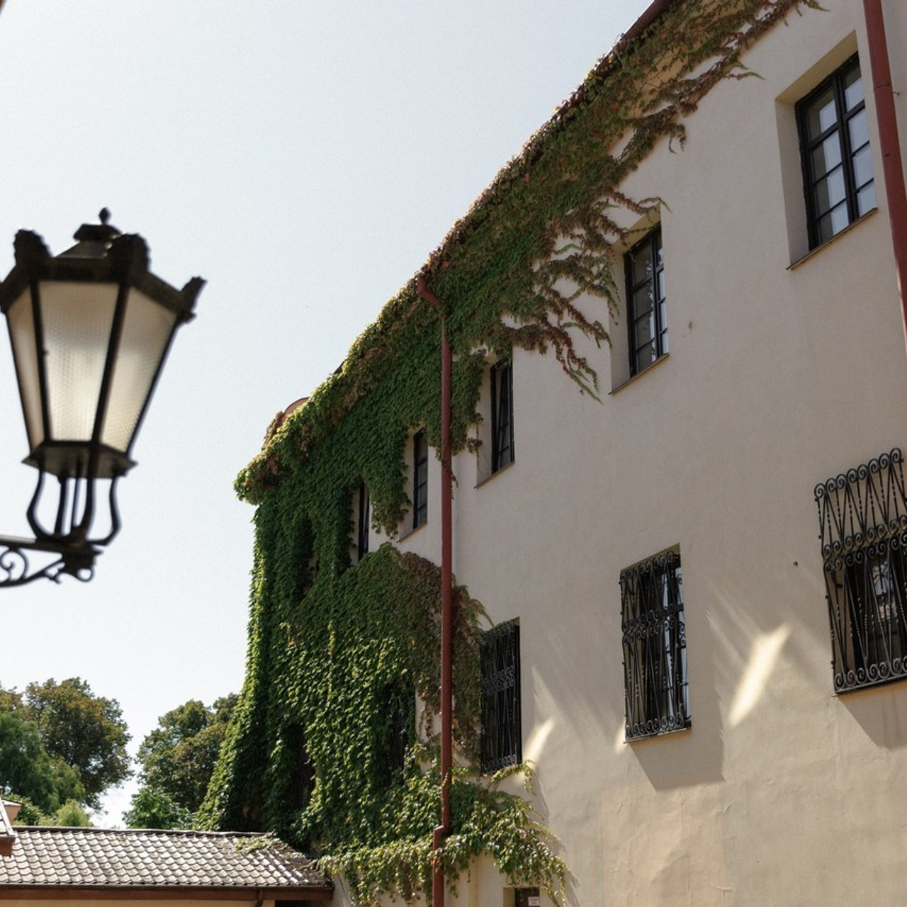 Отзывы. Dima Lemeshevsky