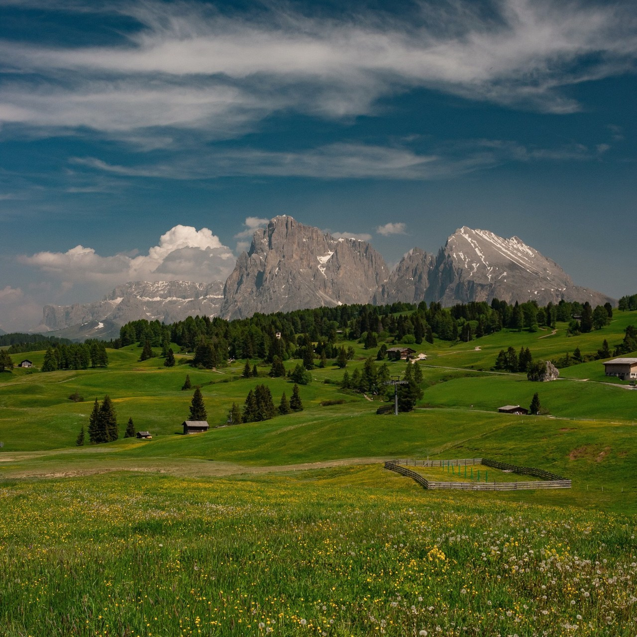 Отзывы / Reviews. Фотограф в Минске Alex Squire