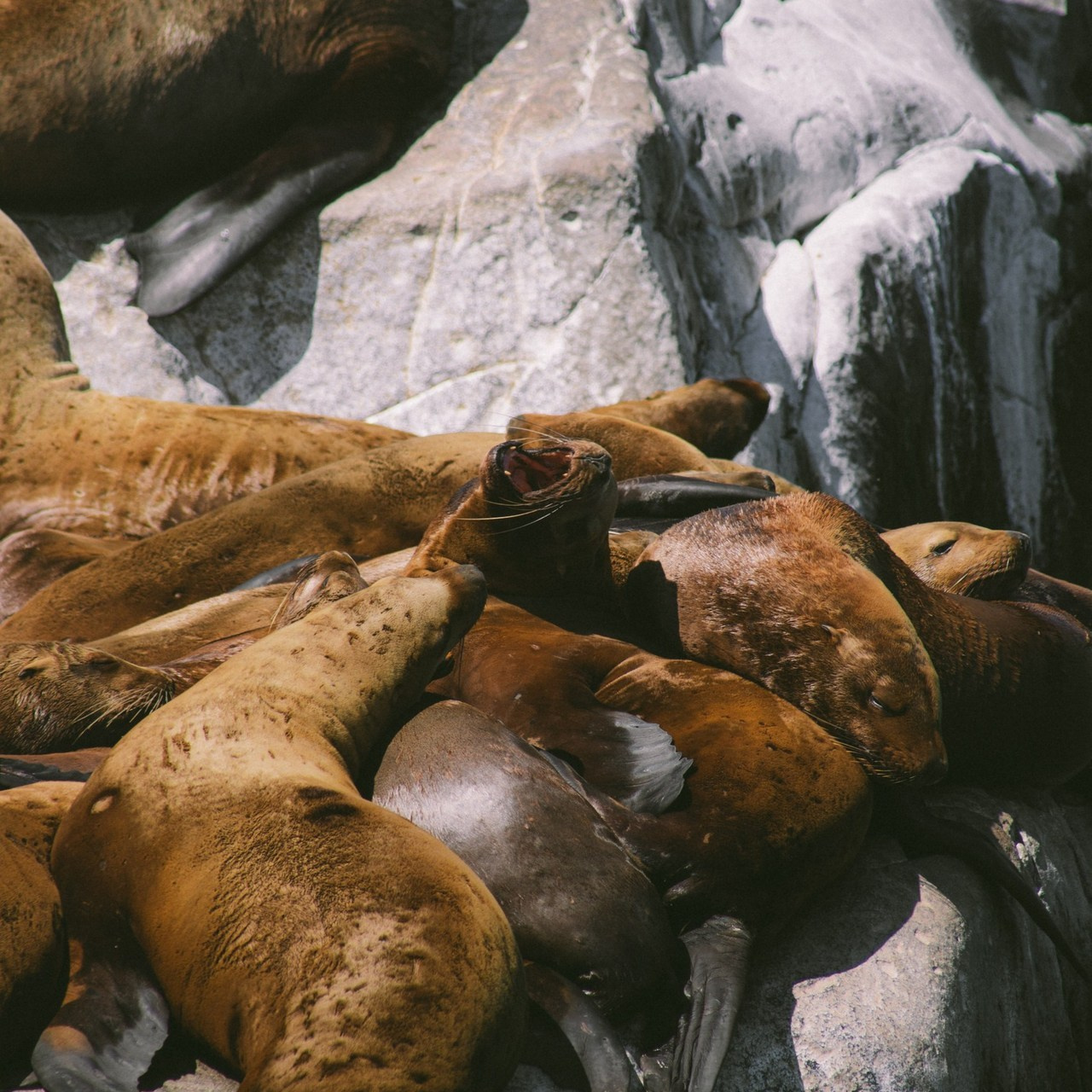 Отзывы. Контент-фотограф для брендов и личных блогов Полина Аверьянова