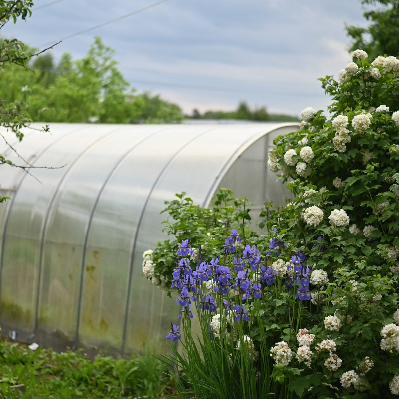 Отзывы. Контент фотограф в г. Иваново Канаева Любовь