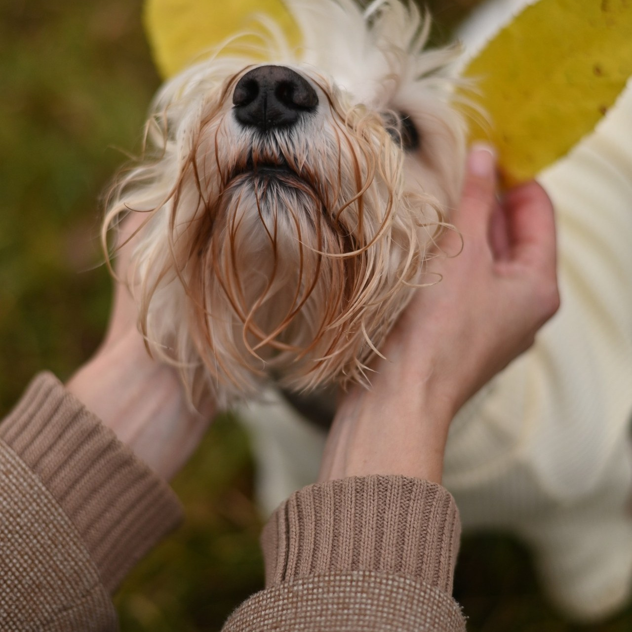 Отзывы. Контент фотограф в г. Иваново Канаева Любовь