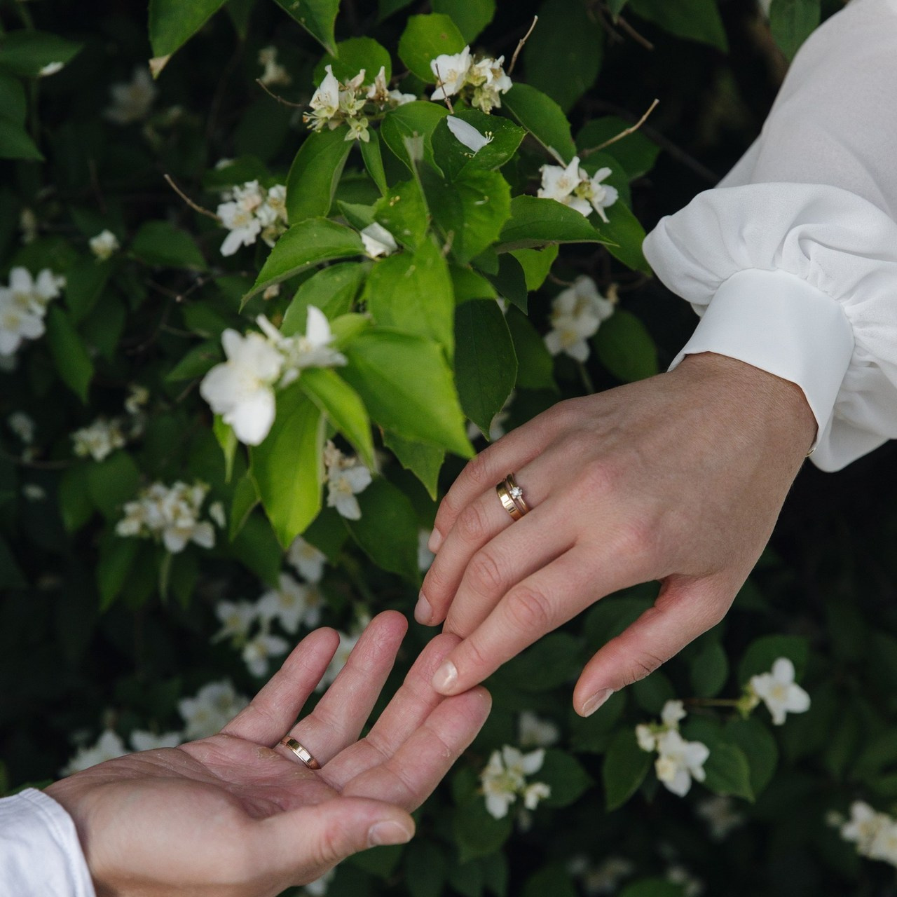 Отзывы. Семейный и свадебный фотограф Viva Photo