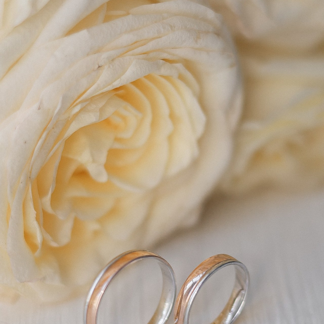 Отзывы. Виктория Питель Фотограф в Астрахани