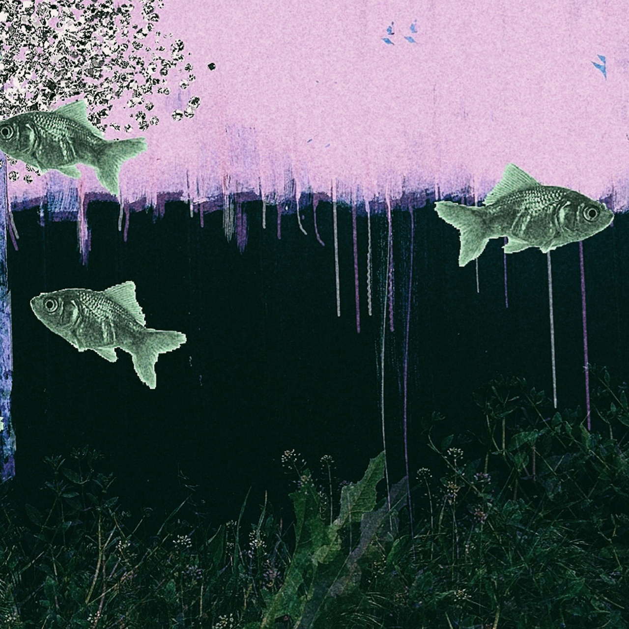 Трансформация. «ФотоСинтез»