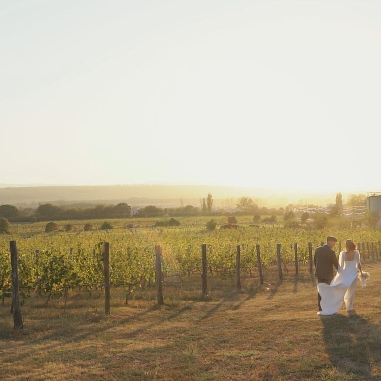 Отзывы. Свадебный и семейный видеограф Чернышова Ольга + 7 961 525 45 06