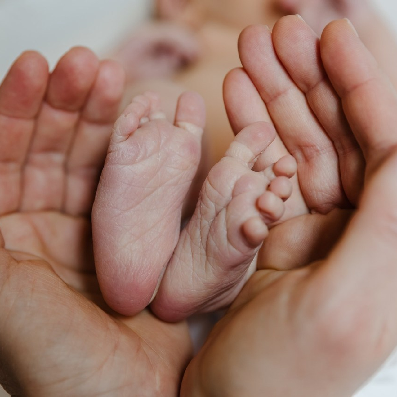 Отзывы. Фотограф Ольга Симакова