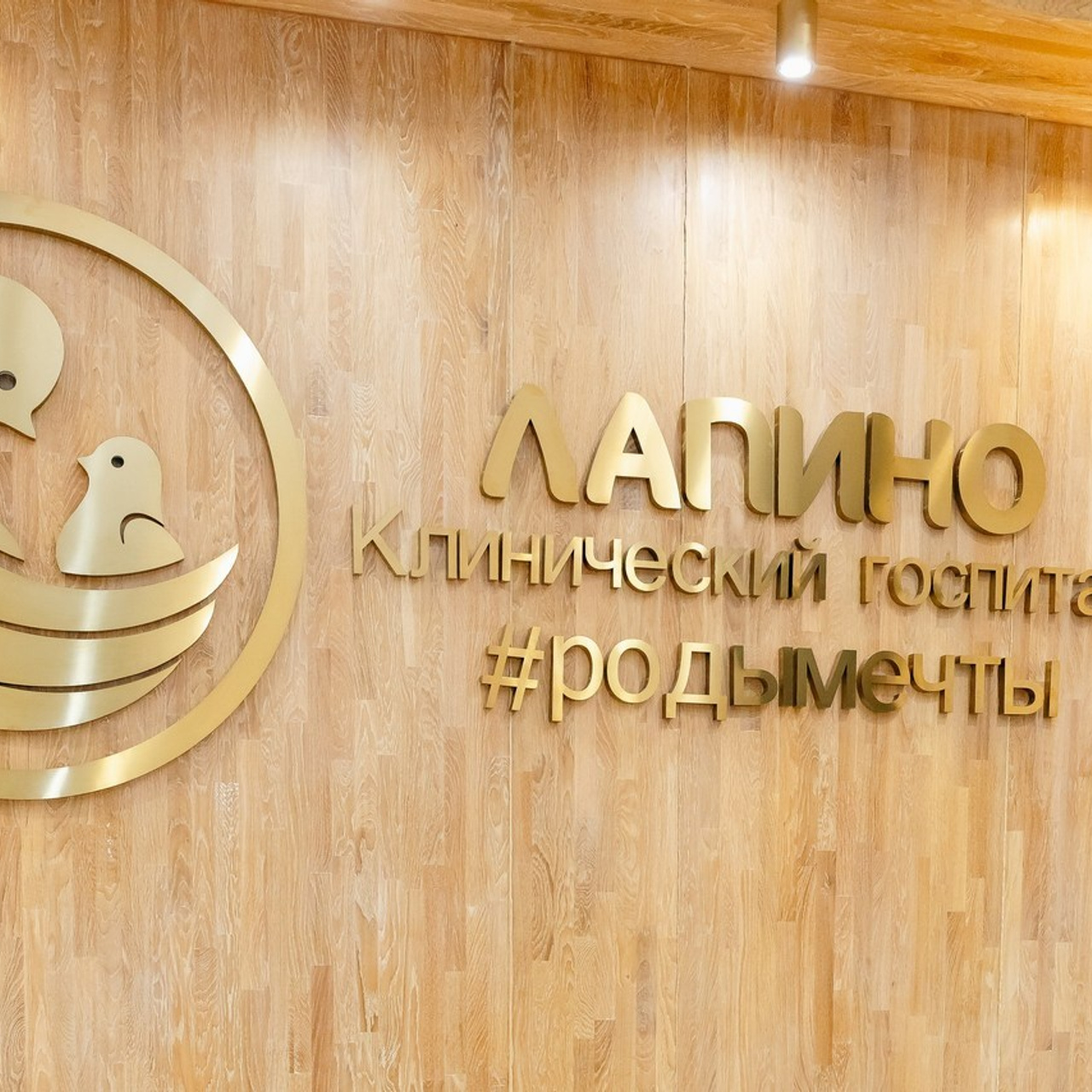 Отзывы. Фотограф Ольга Симакова