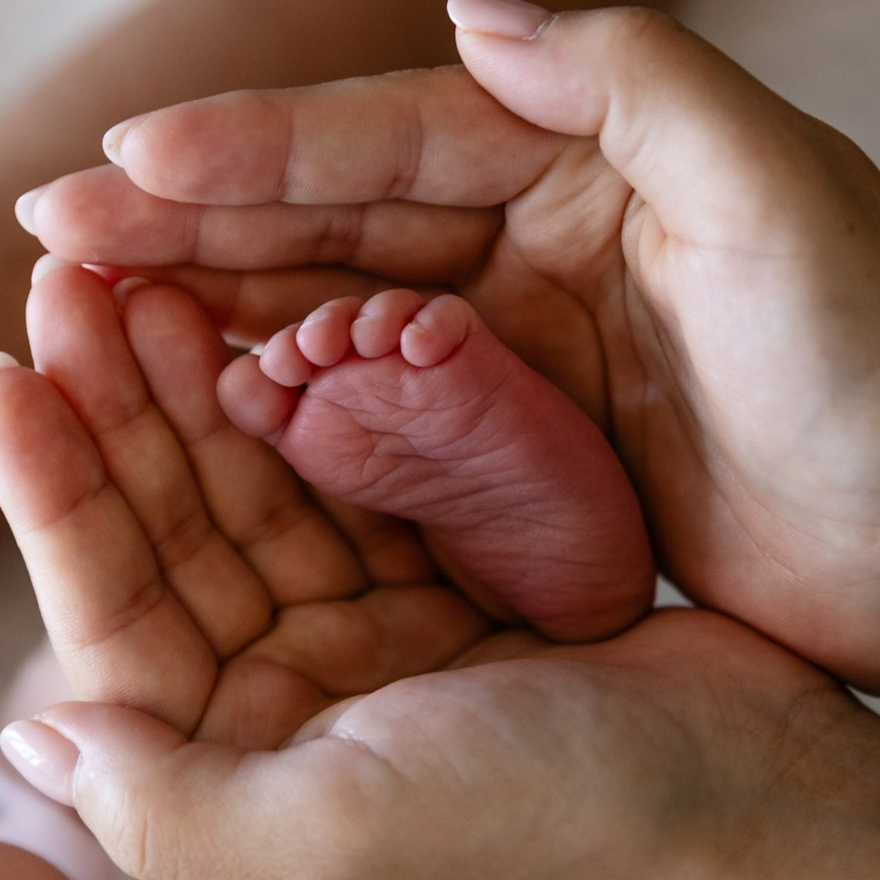 Отзывы. Фотограф Ольга Симакова