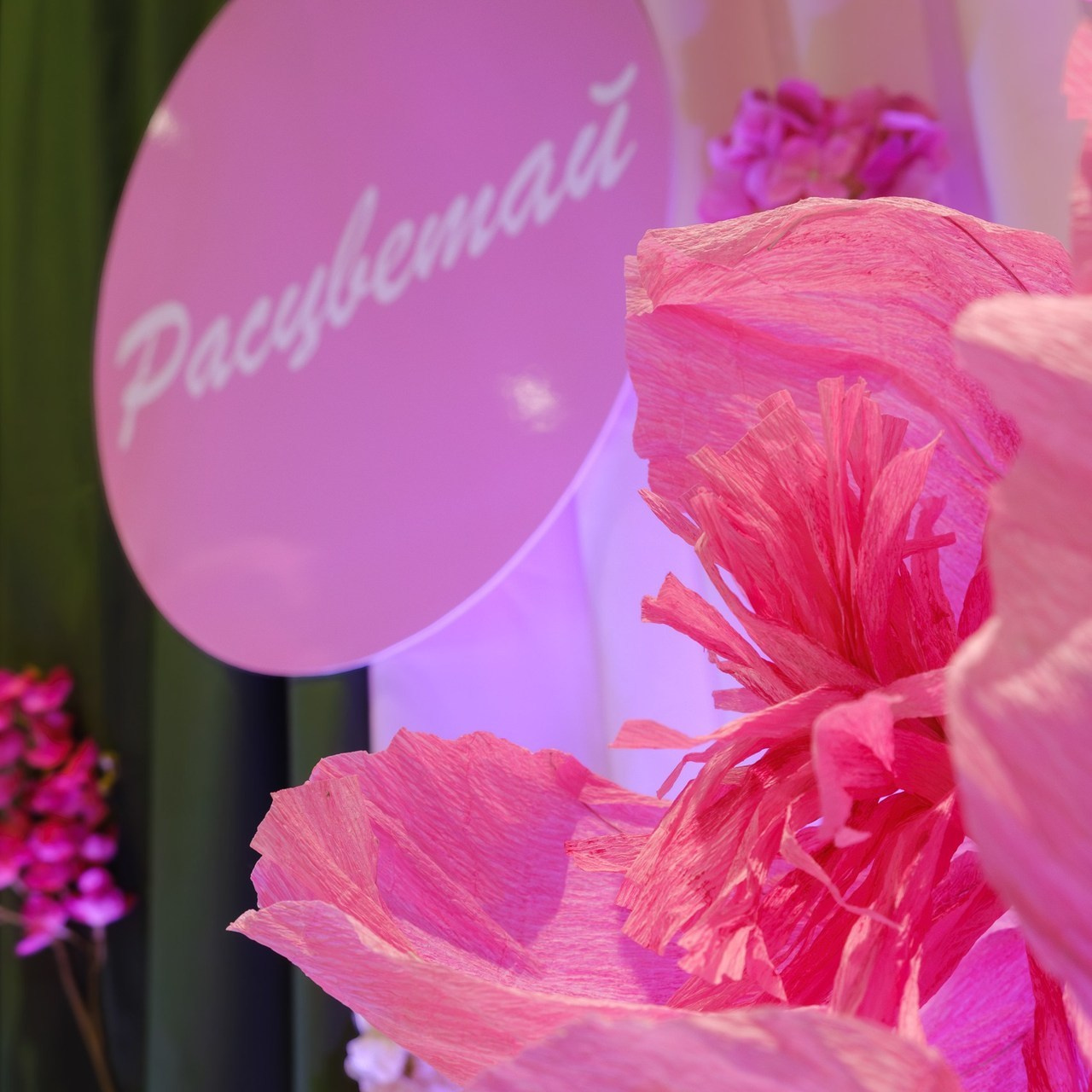 Отзывы. Lifestyle фотограф Алёна Поликина | Нижний Новгород, Москва