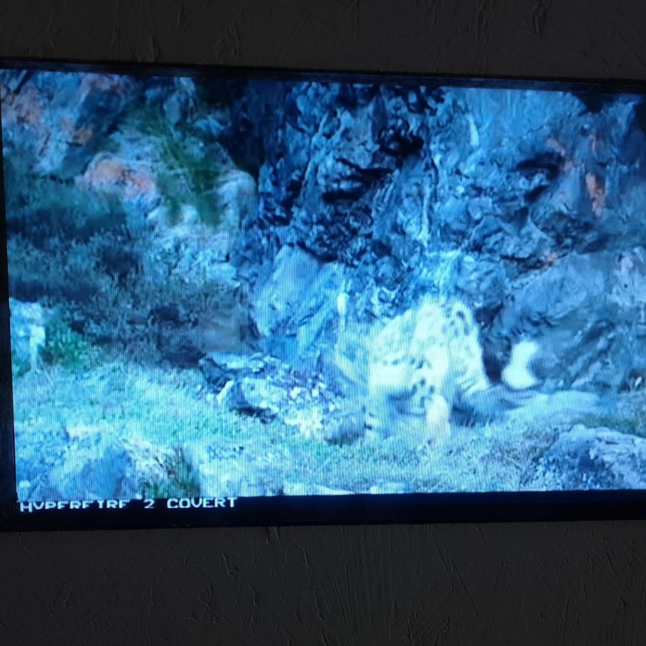 Выставка «КРАСНАЯ КНИГА». Ассоциация художников монументалистов г. Москва