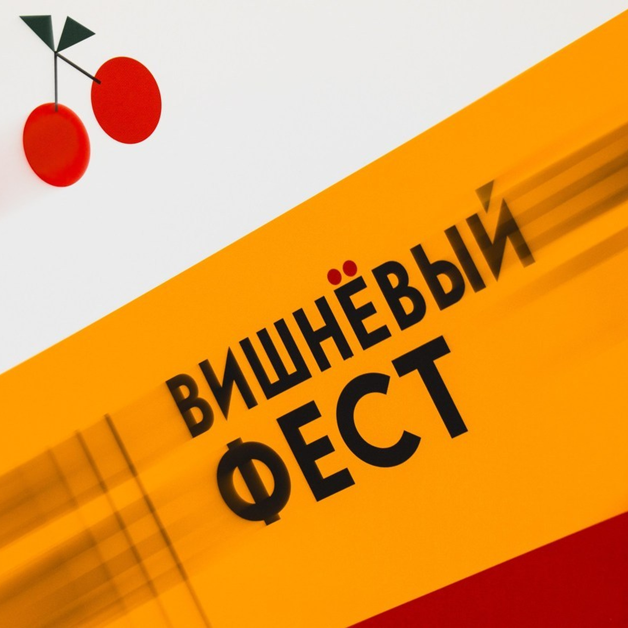 Отзывы. Фотограф Николай Прокофьев модельные тесты в Москве