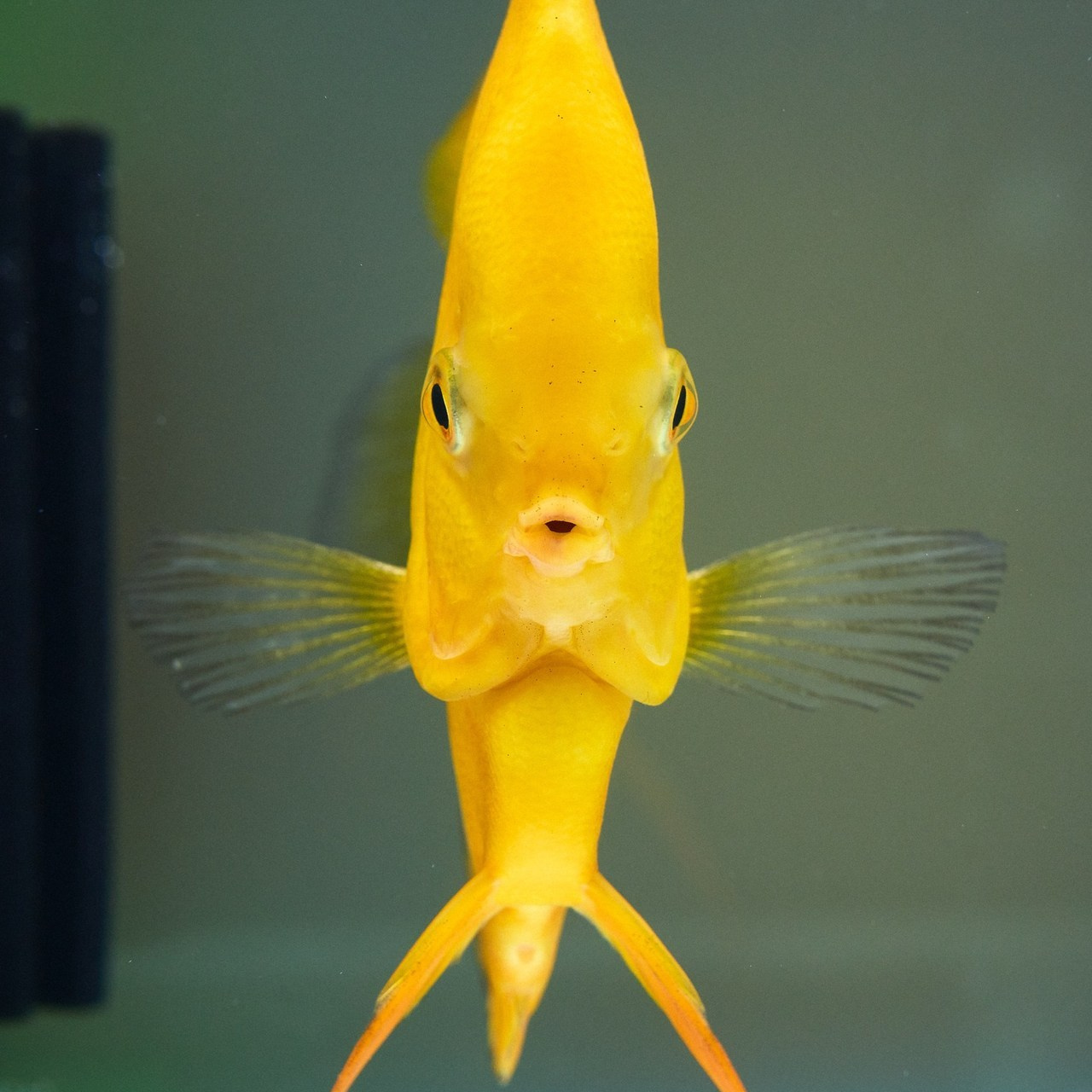 Отзывы. Фотограф Николай Прокофьев модельные тесты в Москве