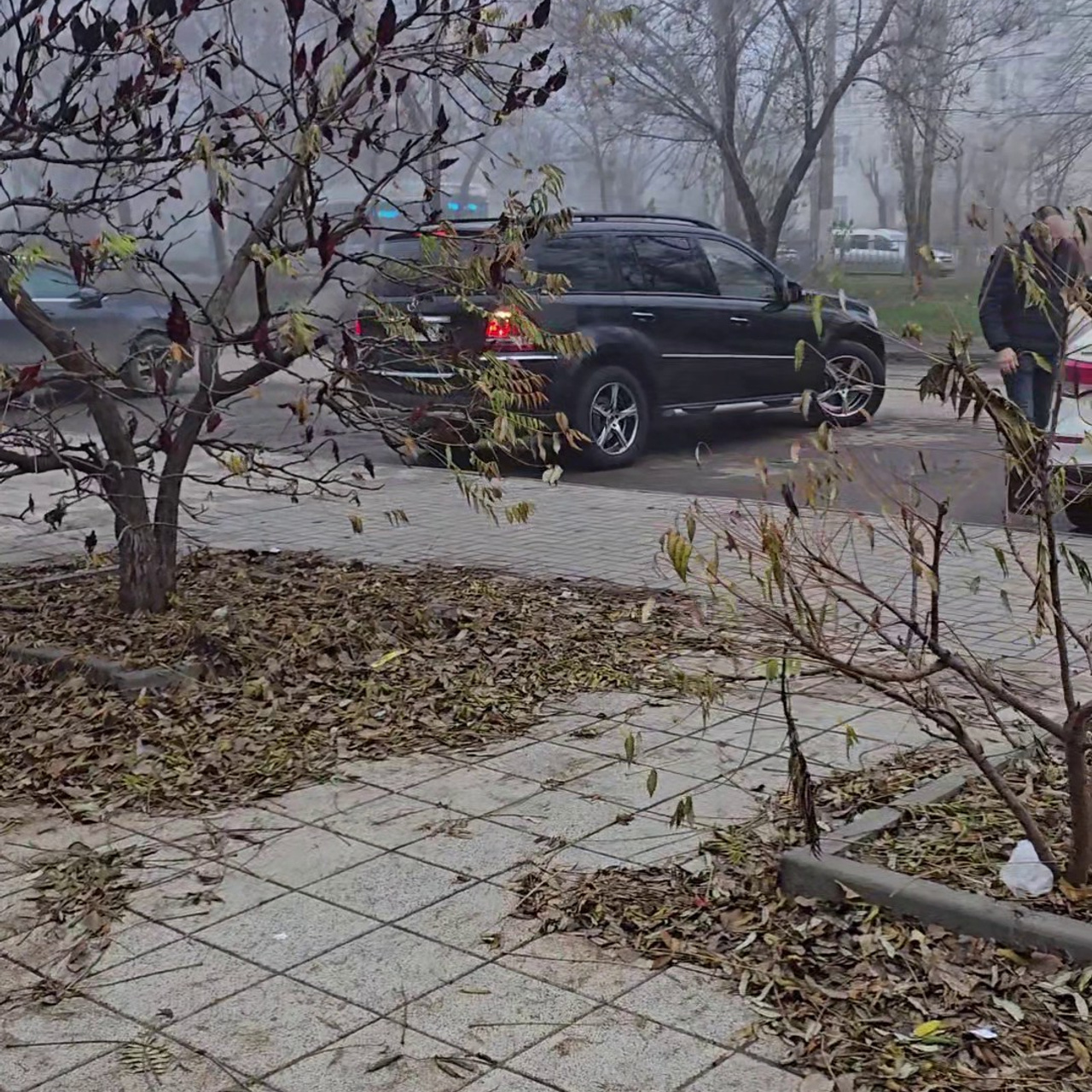 Отзывы. Главная