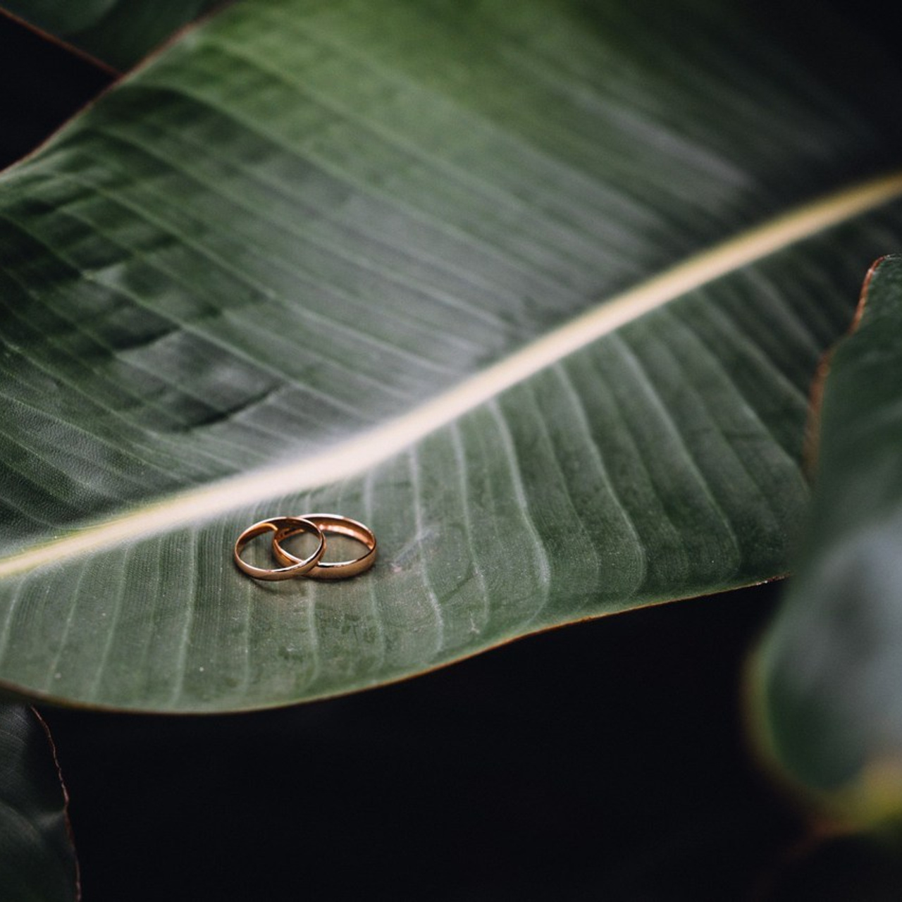 Фотограф Спб. Профессиональный фотограф Алексей Васенцев. Минск, СПБ, Москва