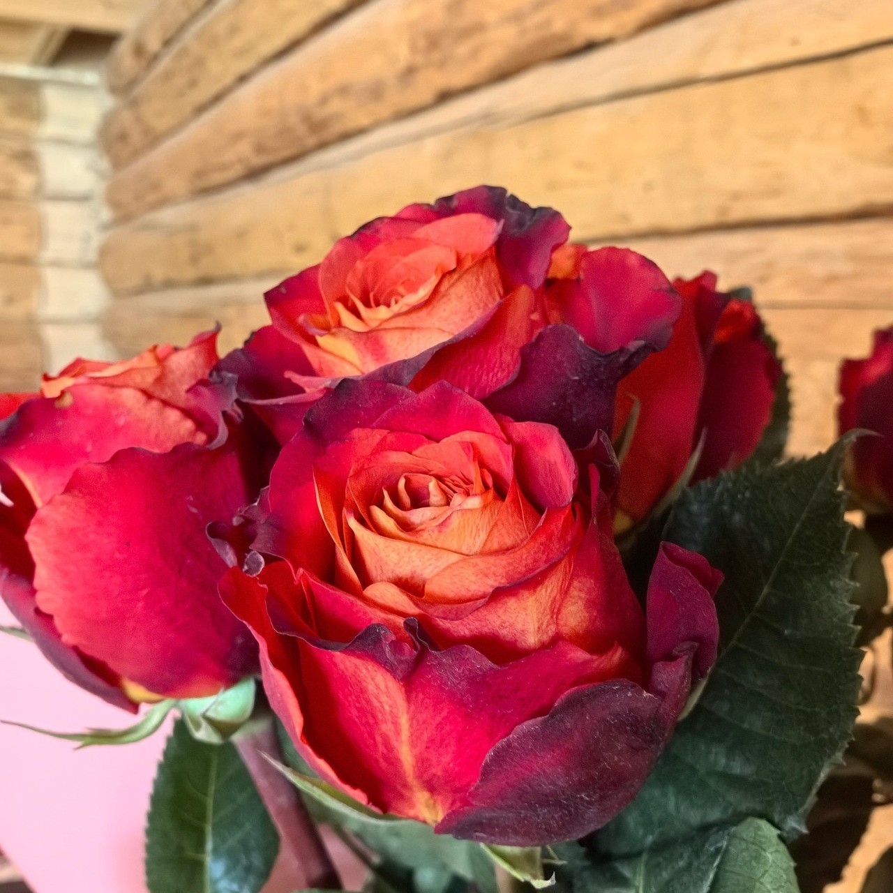 Отзывы. Свадебный и семейный фотограф в Омске Белозерова Александра