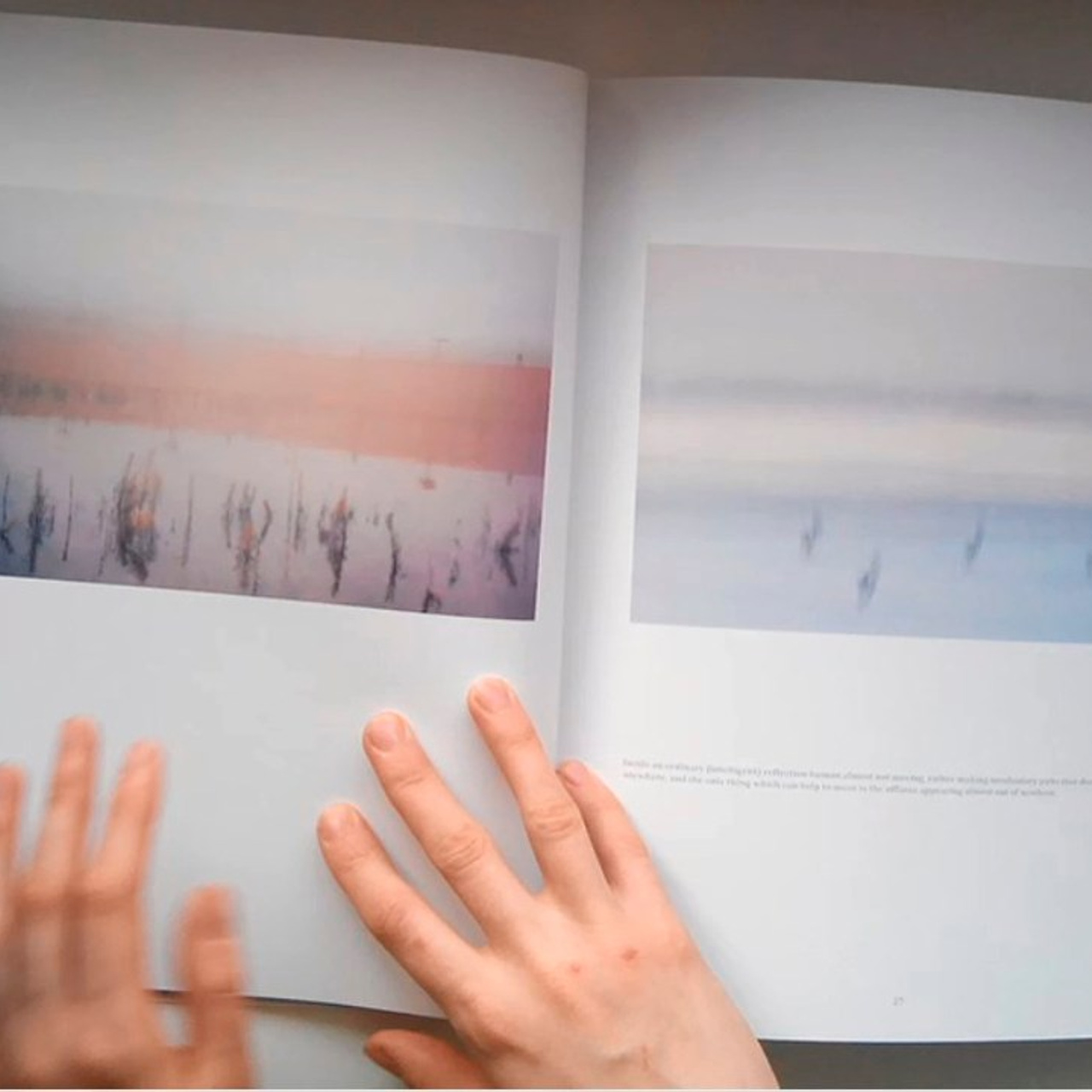 Art books. Янина болдырева Yanina Boldyreva