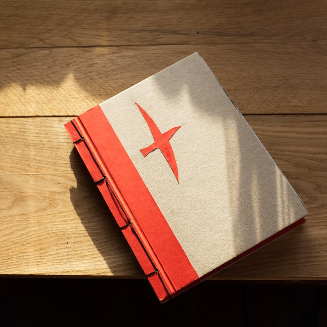 Teplushka project. Янина болдырева Yanina Boldyreva