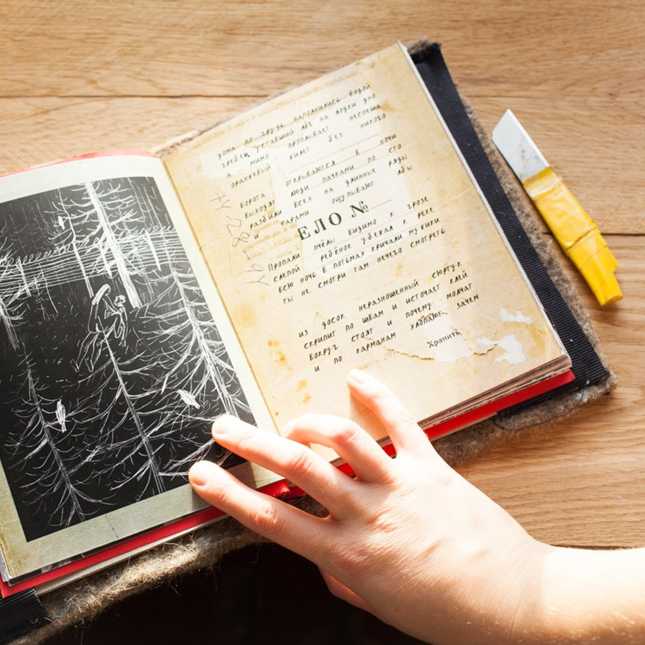 Teplushka project. Янина болдырева Yanina Boldyreva