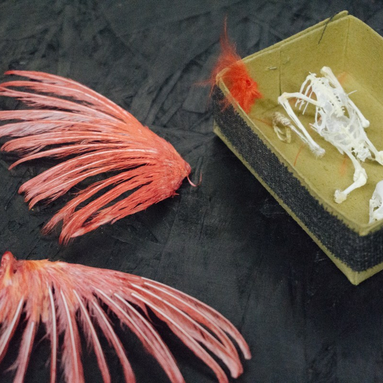 Teplushka project. Янина болдырева Yanina Boldyreva