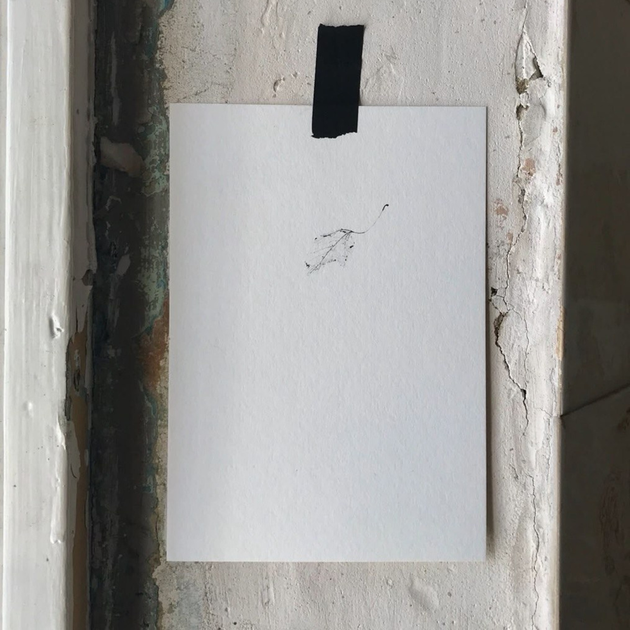 Фотогалерея