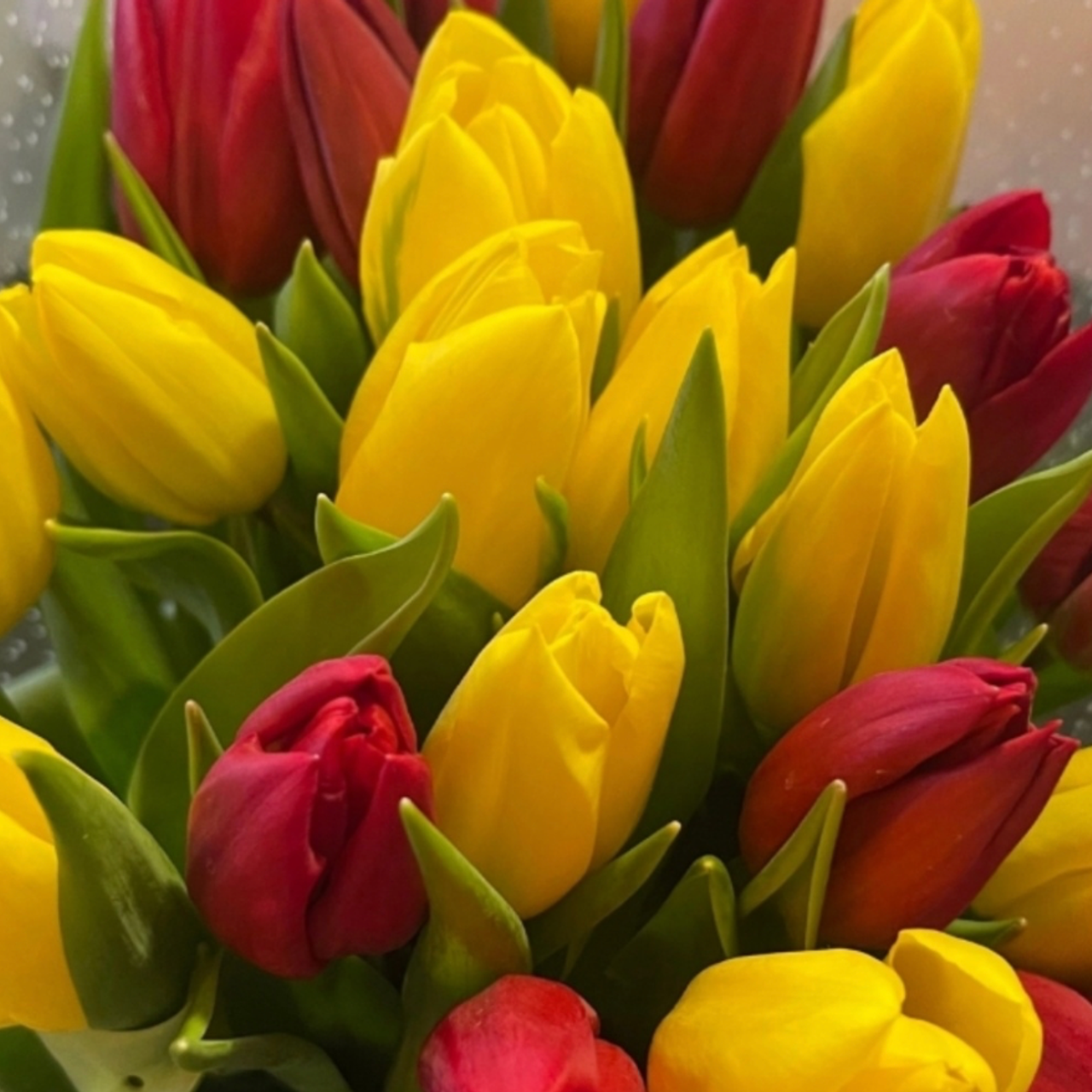 Отзывы. Ведущий мероприятий Артем Банников