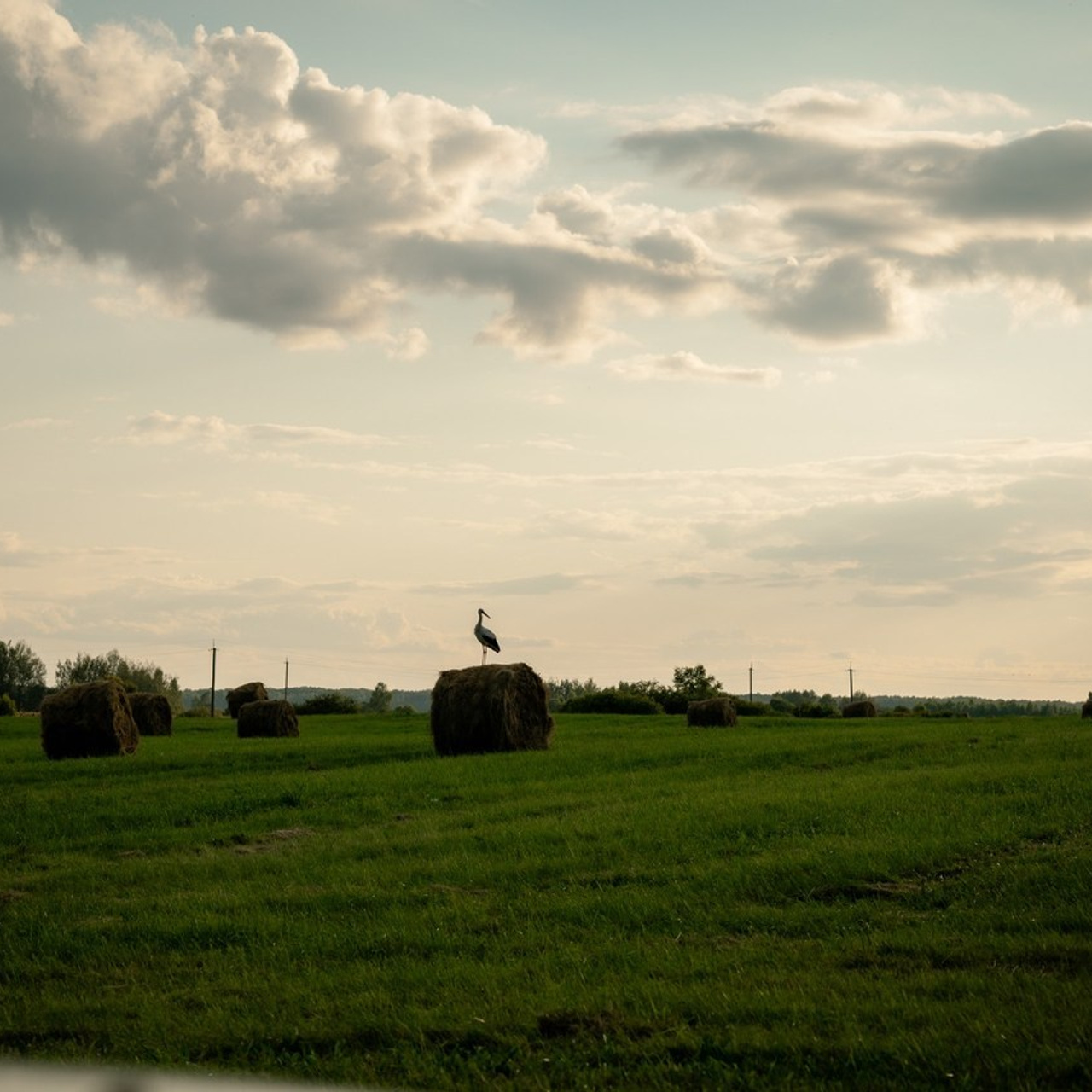 Отзывы. Главная