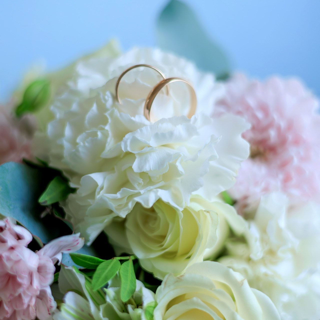 Отзывы. Главная