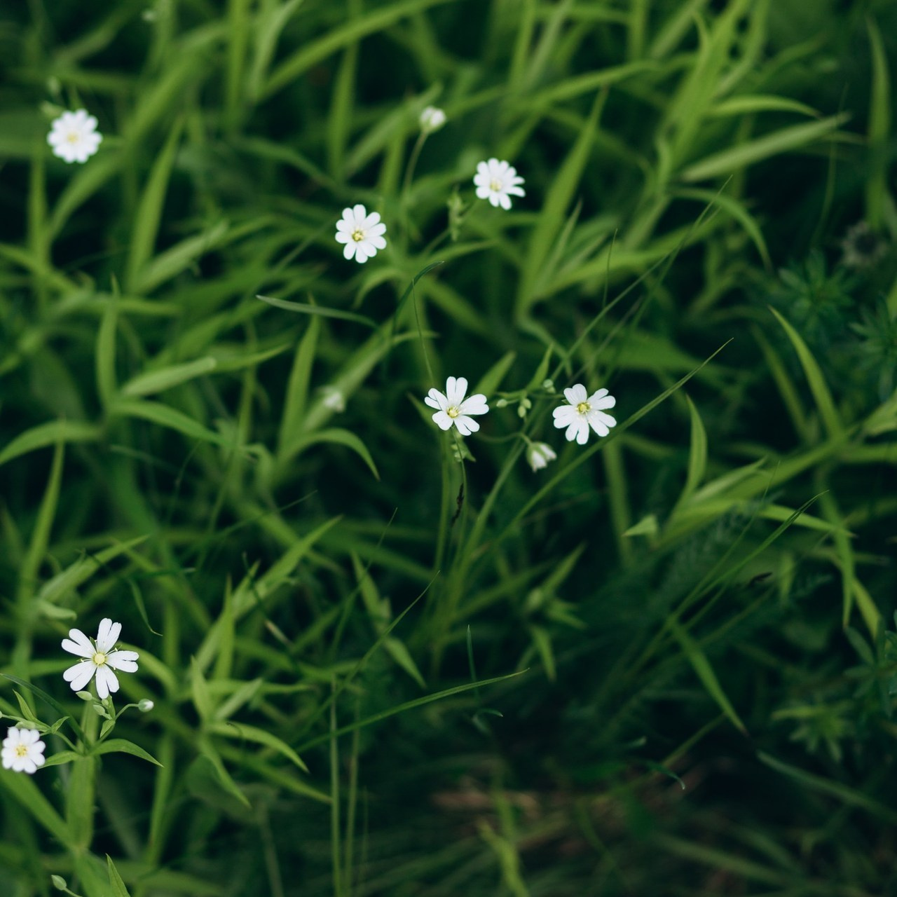Отзывы. Фотограф в г. Альметьевск и г. Азнакаево