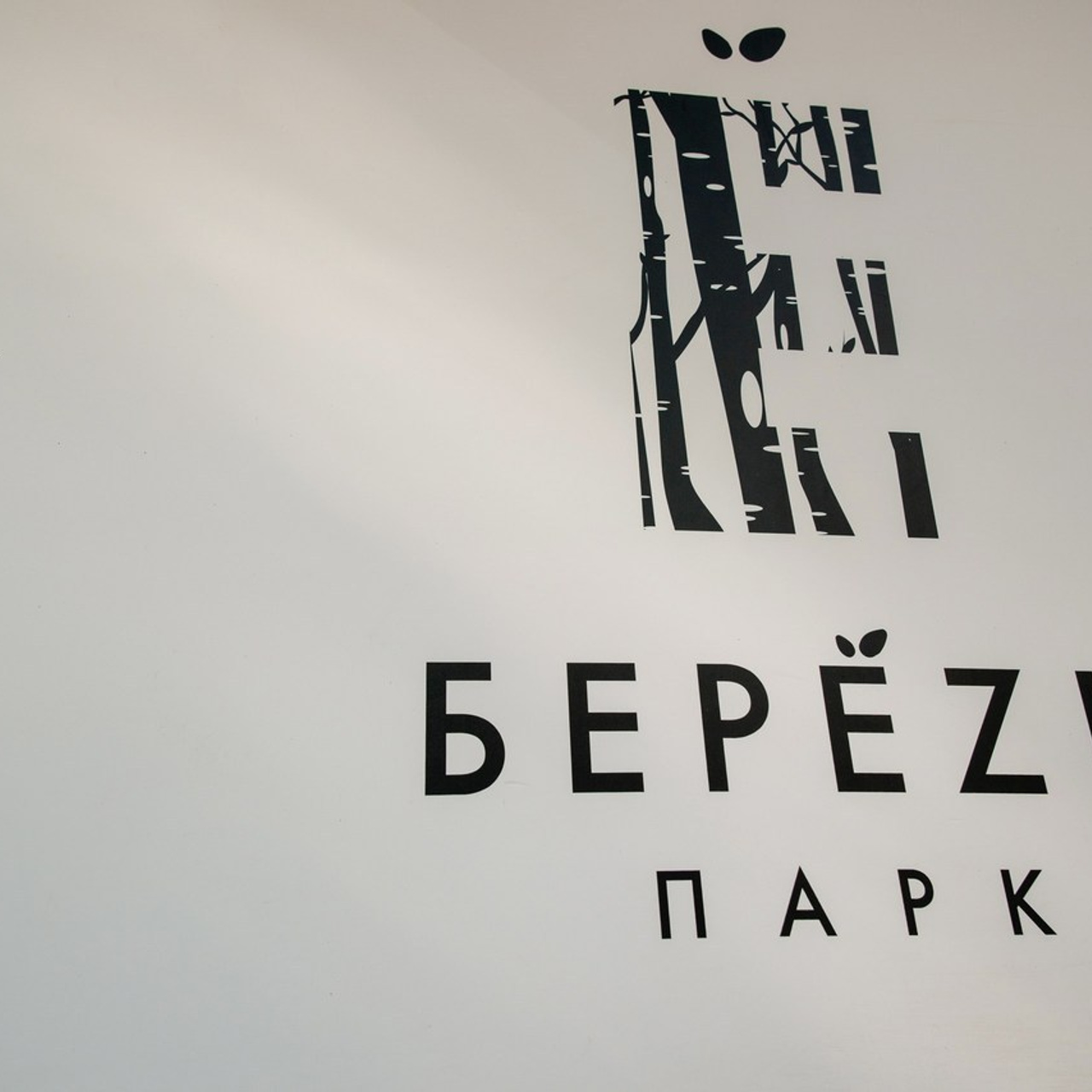 Отзывы. Репортажный фотограф. Москва. Алина Ланская