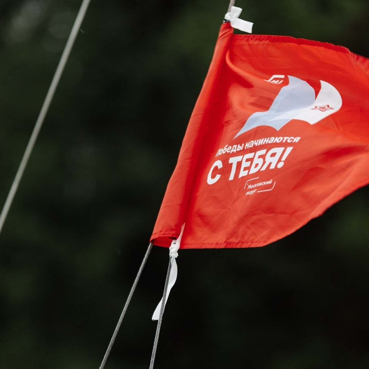 Отзывы. Репортажный фотограф. Москва. Алина Ланская