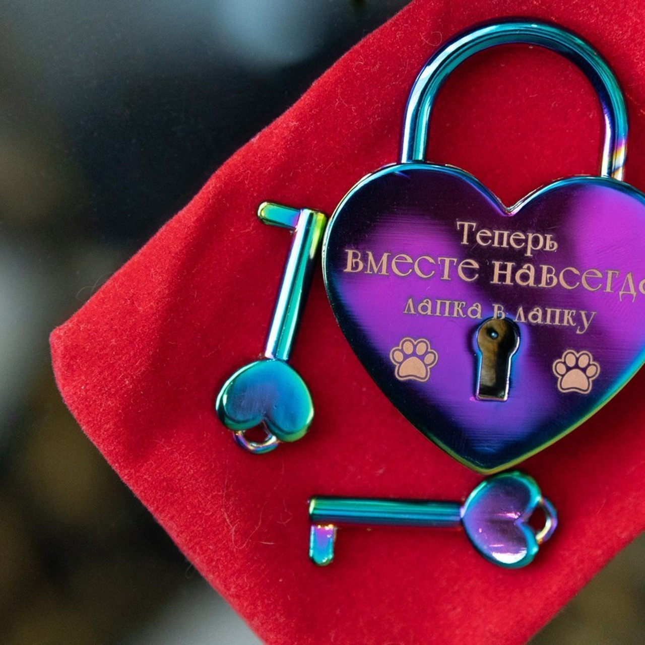 Отзывы. Репортажный фотограф. Москва. Алина Ланская