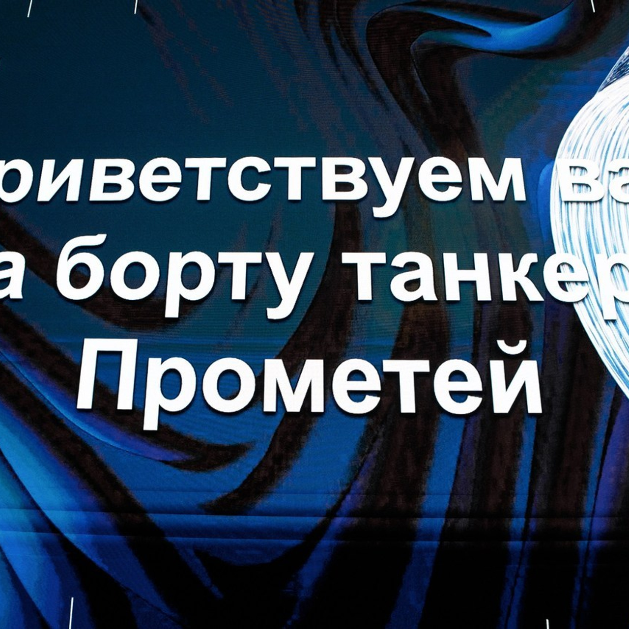 Отзывы. Репортажный фотограф. Москва. Алина Ланская